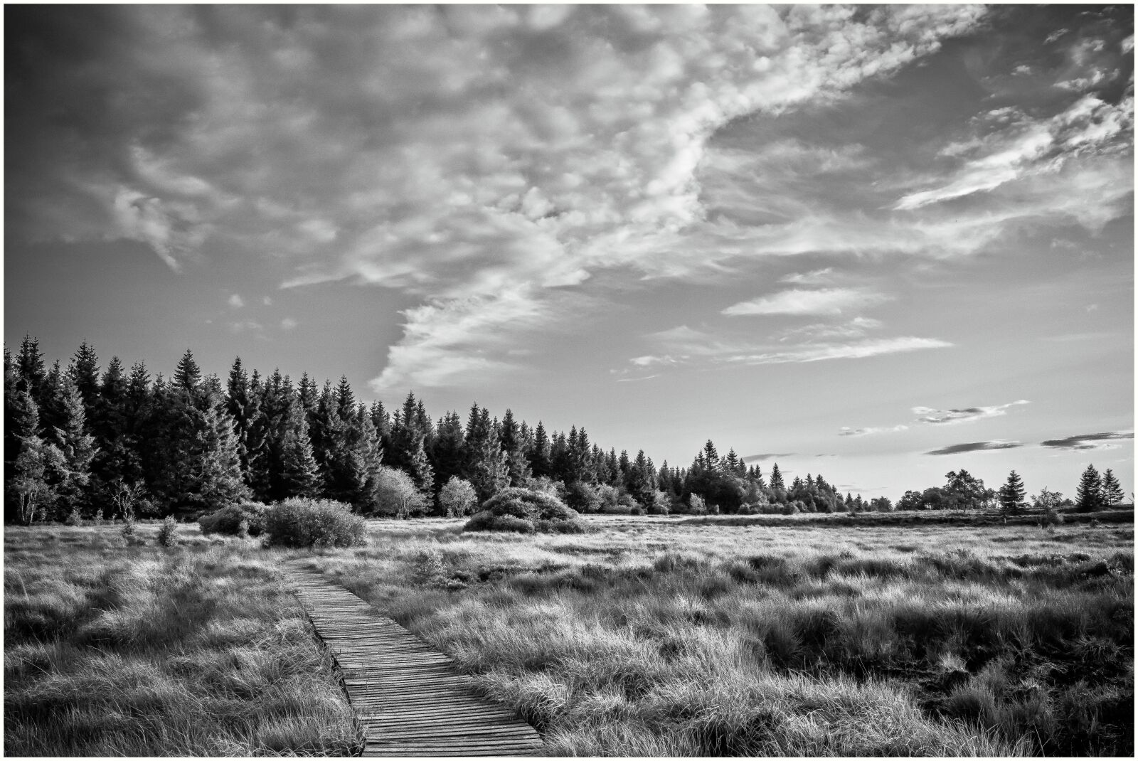 Nikon D3300 sample photo. Nature, landscape, moor photography