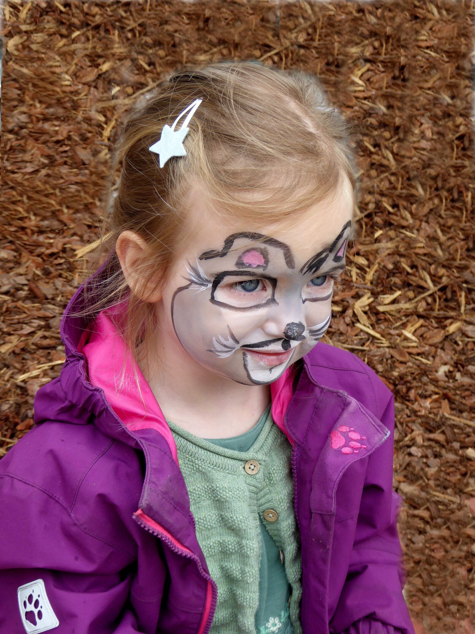 Panasonic DMC-TZ61 sample photo. Little girl, face, cute photography