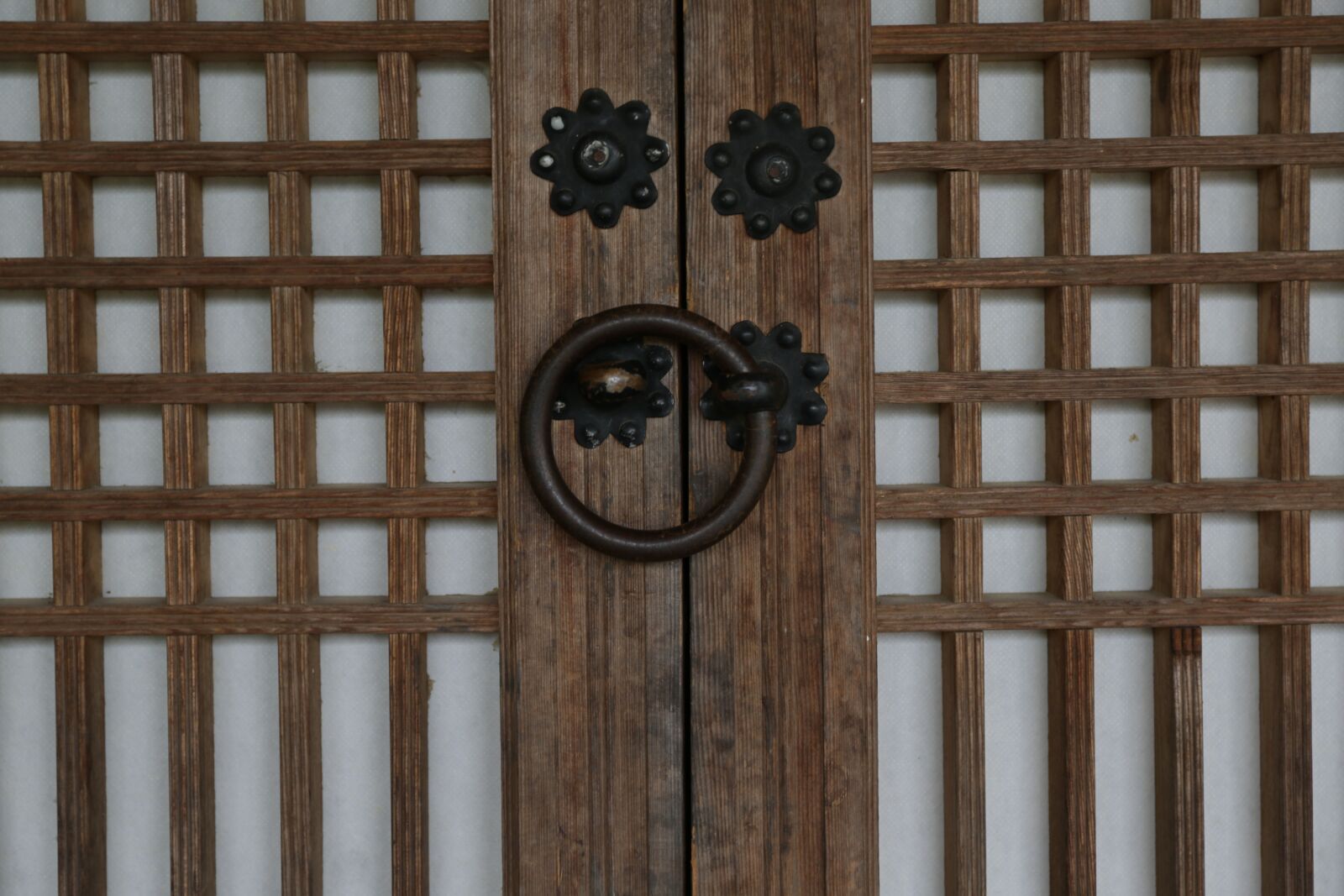 Canon EF 24-70mm F4L IS USM sample photo. Traditional, republic of korea photography