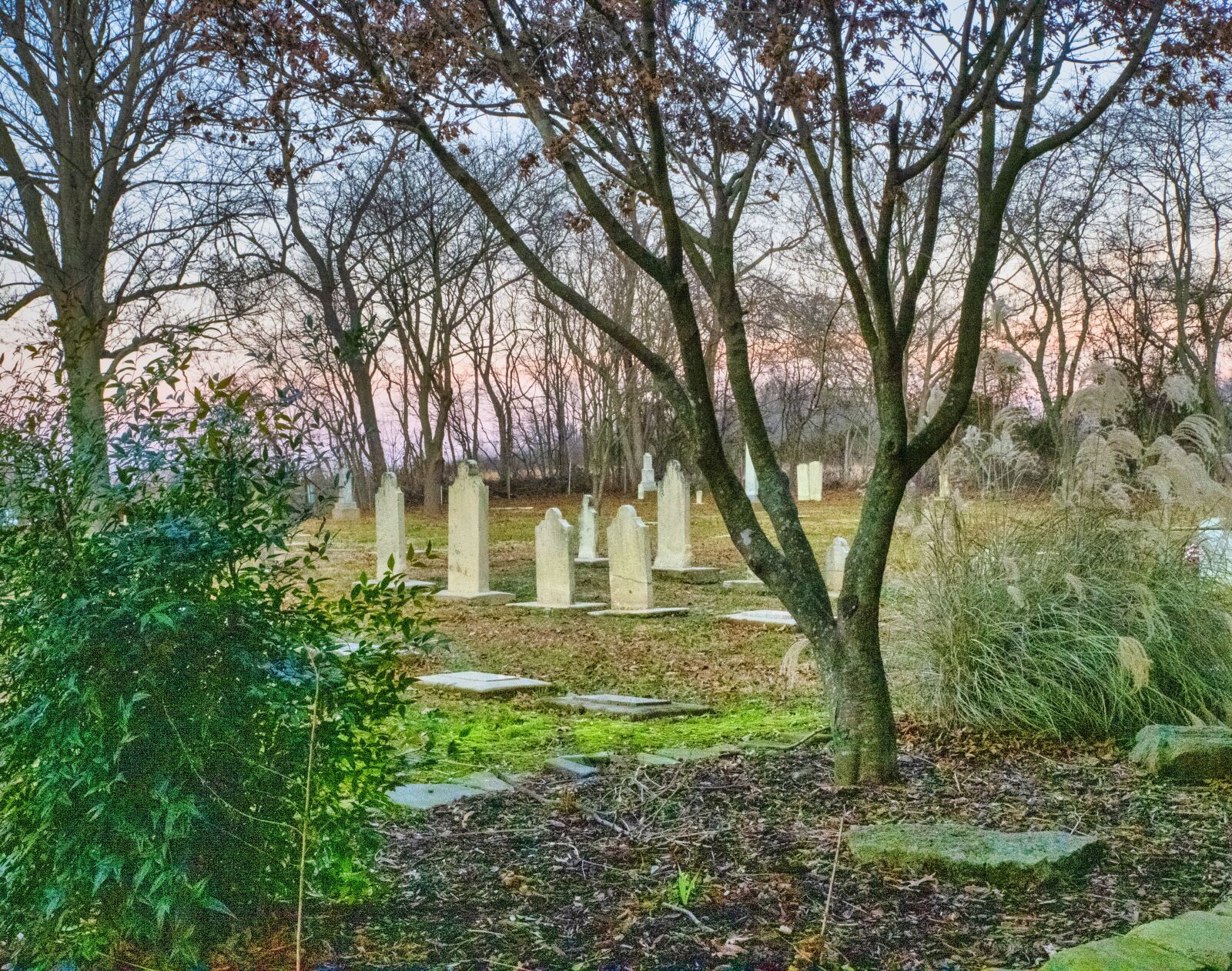 Nikon D850 sample photo. Cemetery, graves, death photography