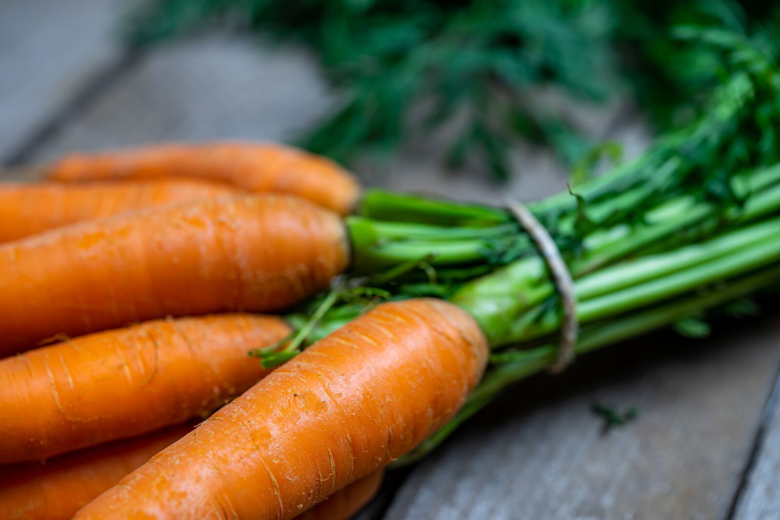 Sony a7 II sample photo. Carrots, federal government, healthy photography