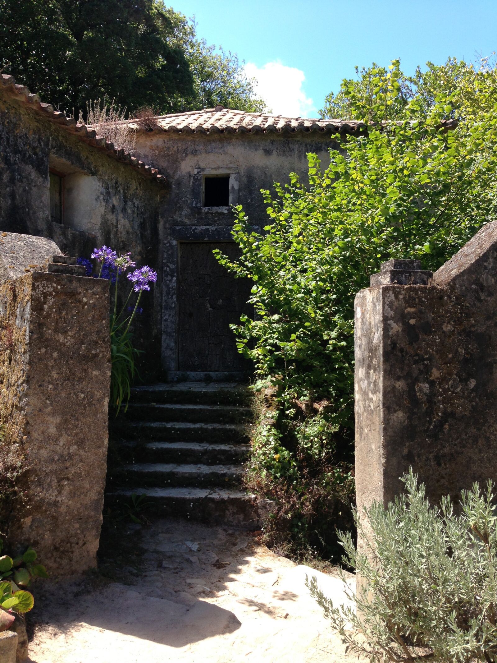 Apple iPhone 5 sample photo. Convento dos capuchos, portugal photography