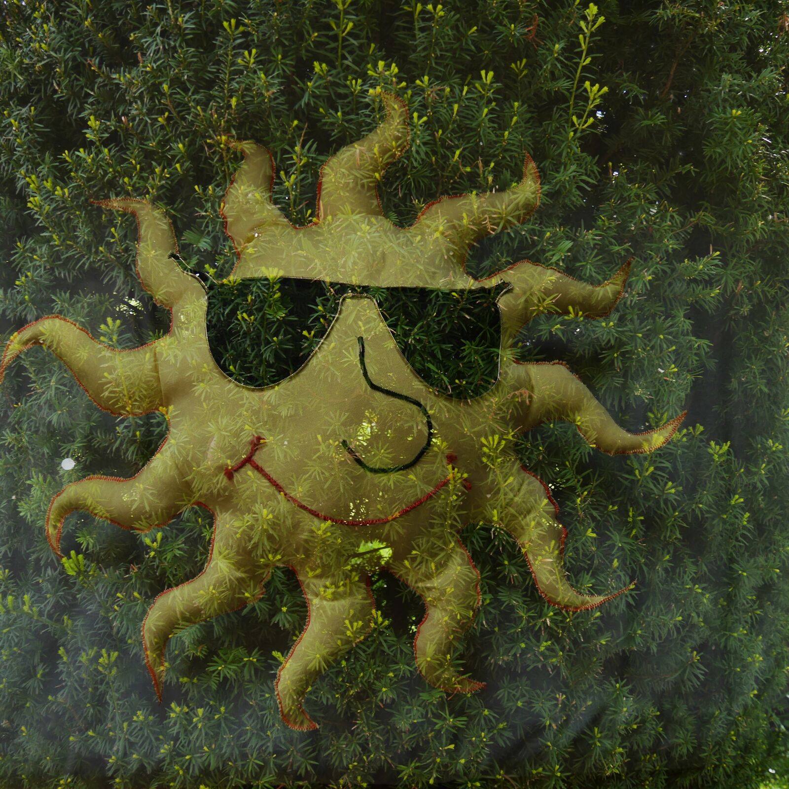 Panasonic Lumix DMC-G6 sample photo. Sun, boxwood, double exposure photography