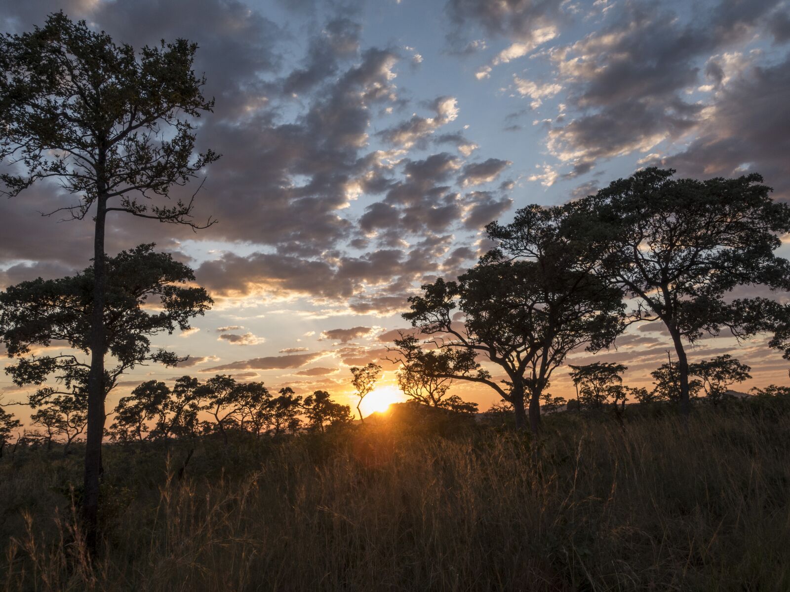 Sony Cyber-shot DSC-RX100 IV sample photo. Abendstimmung, krueger, national park photography