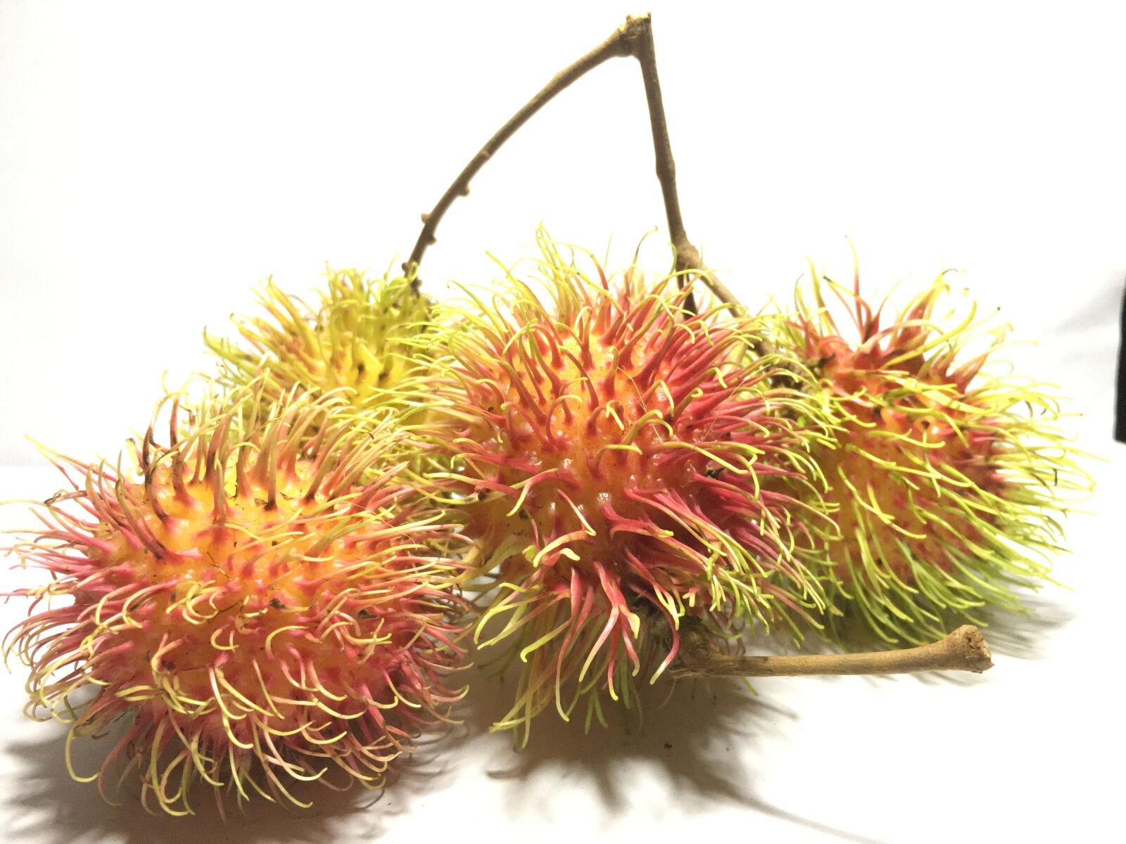 Apple iPhone 6s sample photo. Hairy fruit, colors, healthy photography