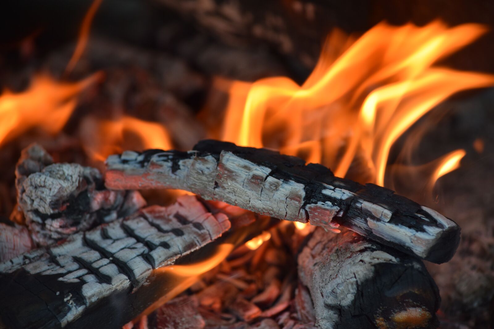 Nikon D5300 sample photo. Fire, carbon, barbecue photography