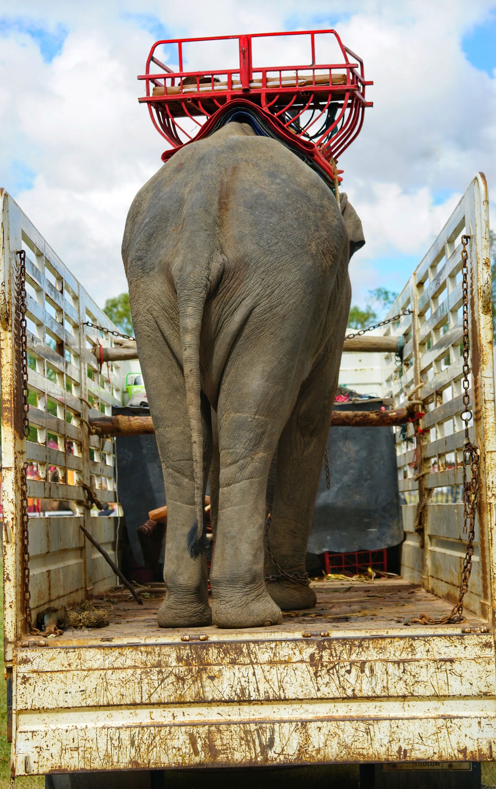 Sony FE 70-300mm F4.5-5.6 G OSS sample photo. Going, home, elephant photography