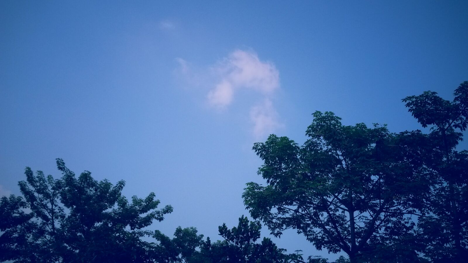Samsung Galaxy S4 Mini sample photo. Background, blue, sky, cloudy photography