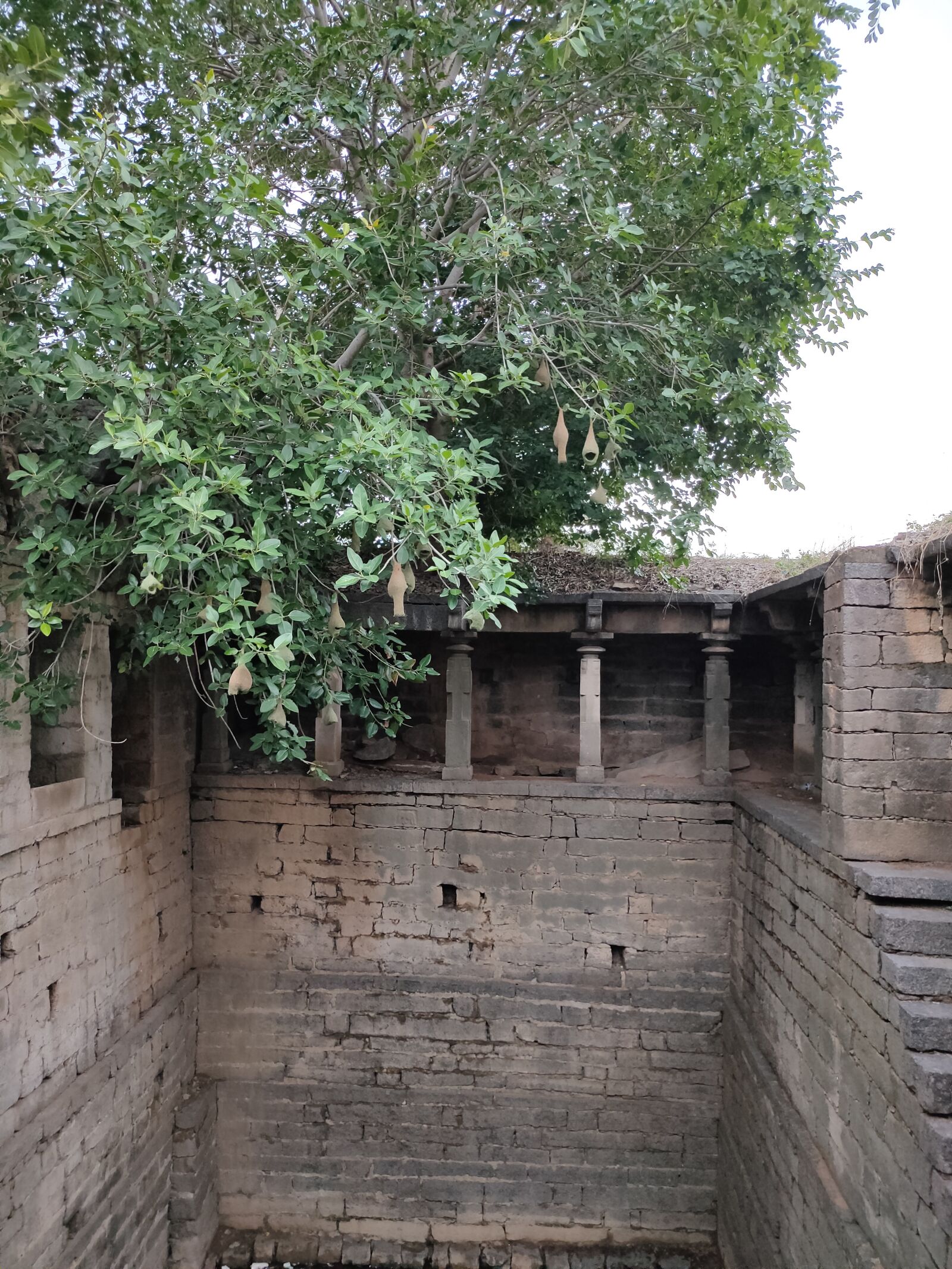 Realme XT sample photo. Ancient, well, naganna baavi photography