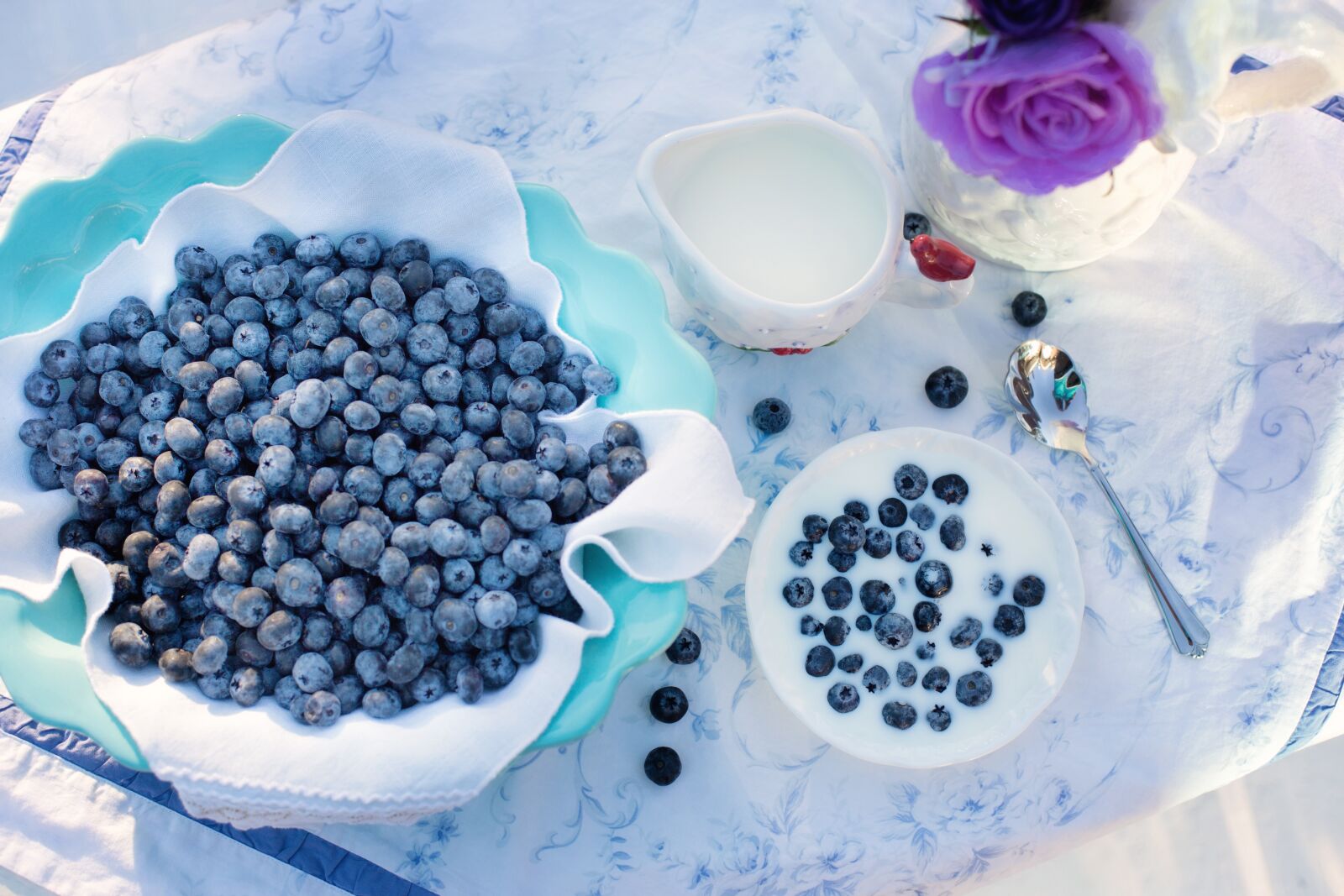 Canon EF 50mm F1.4 USM sample photo. Blueberries, dessert, breakfast photography