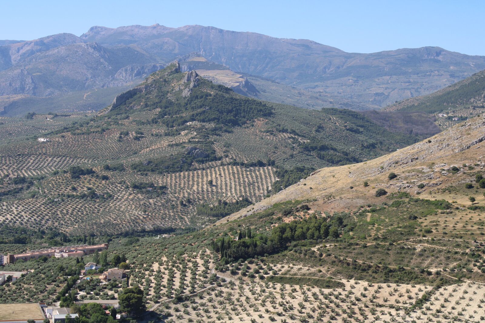 Canon EOS 2000D (EOS Rebel T7 / EOS Kiss X90 / EOS 1500D) sample photo. Landscape, jaen, olive trees photography