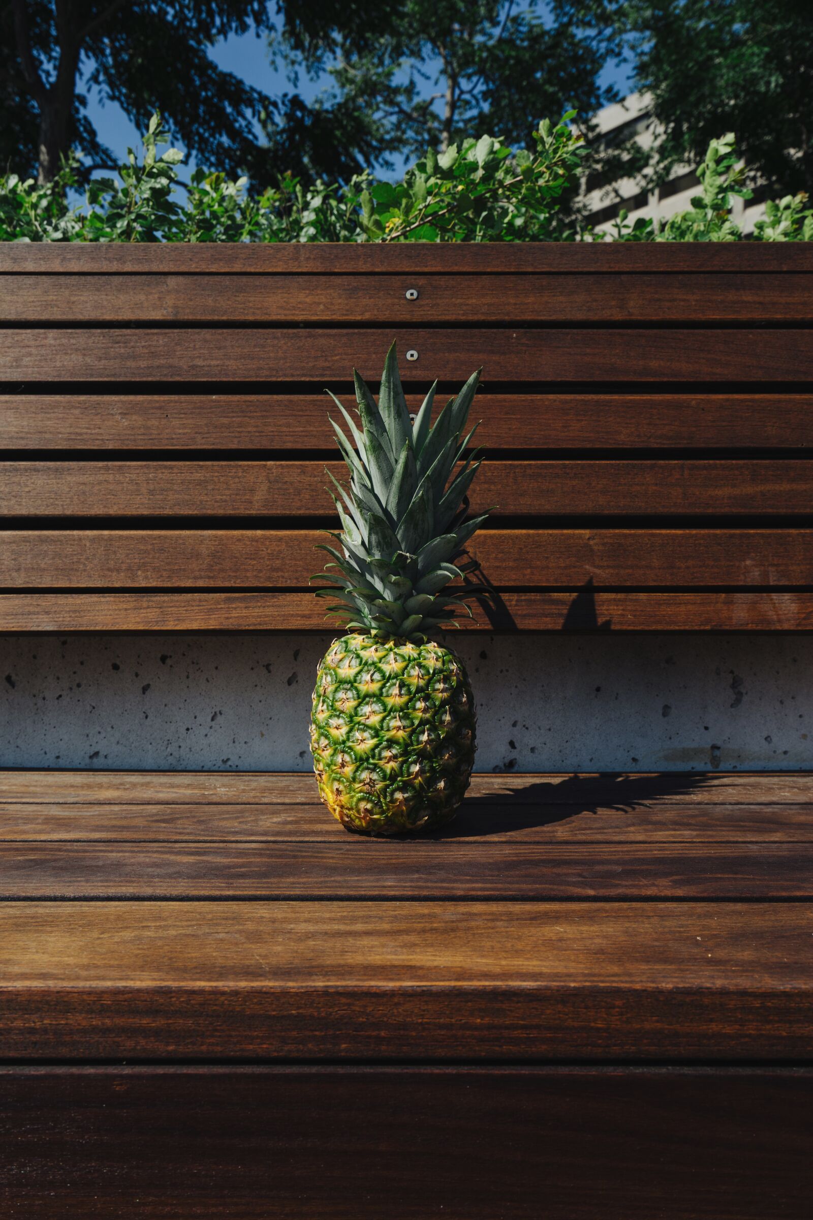 Sony a7 II + Sony Vario-Tessar T* FE 16-35mm F4 ZA OSS sample photo. Bench, fruit, pineapple photography