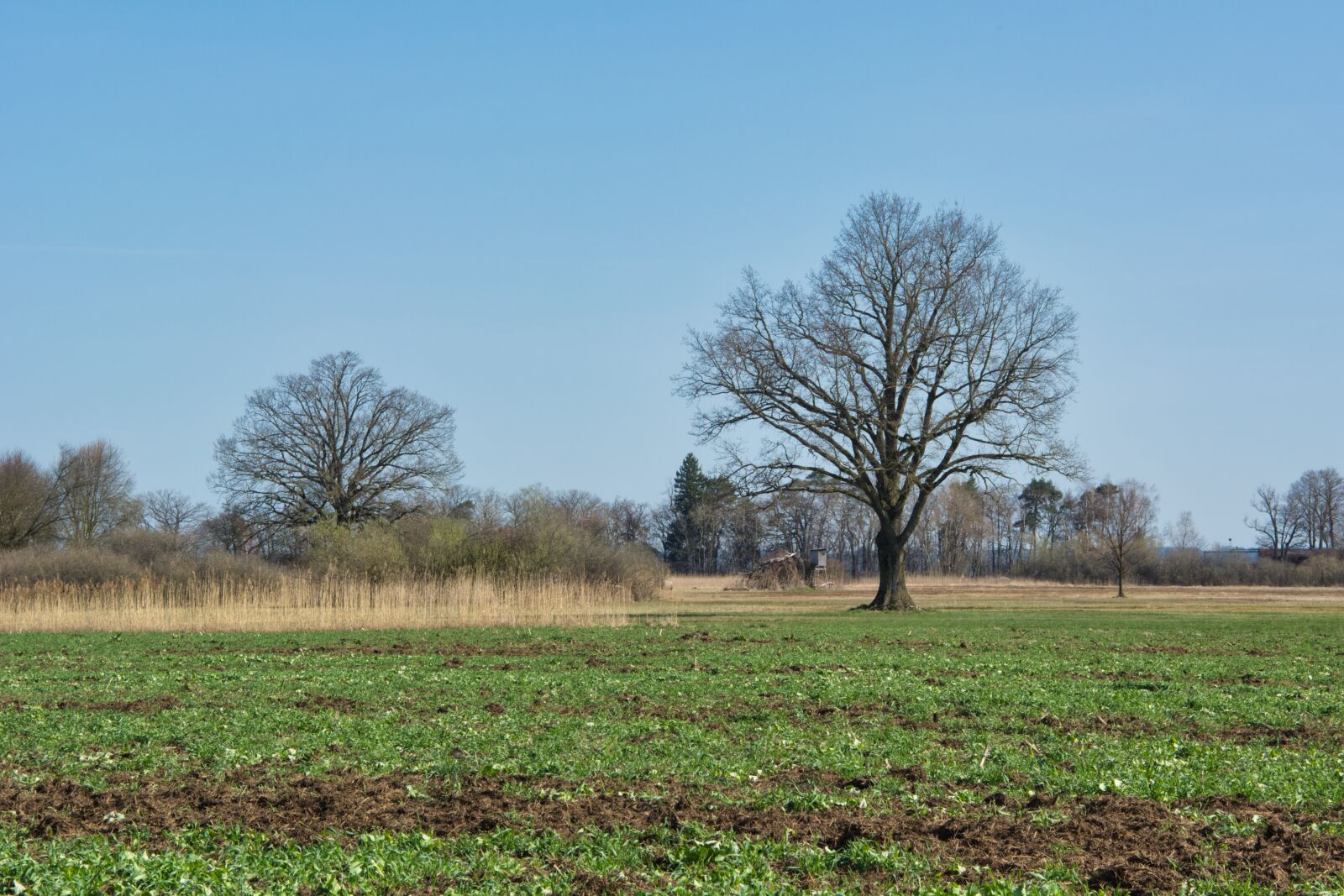 Nikon D7100 sample photo. Landscape, chiemgau, bavaria photography