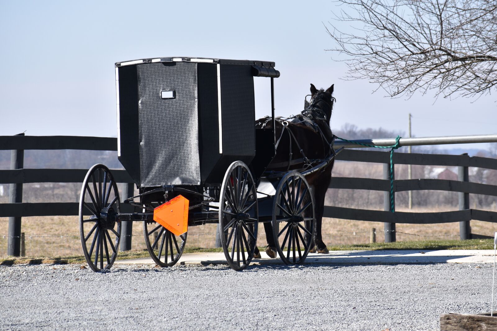 Nikon D5500 sample photo. Amish, buggy, amish buggy photography