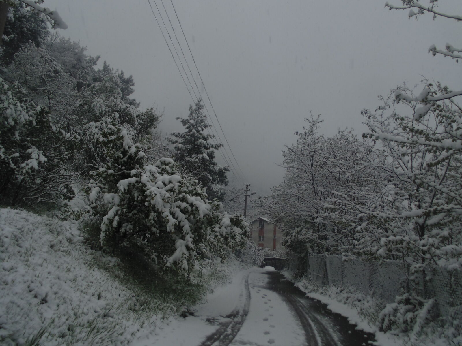 Sony DSC-H100 sample photo