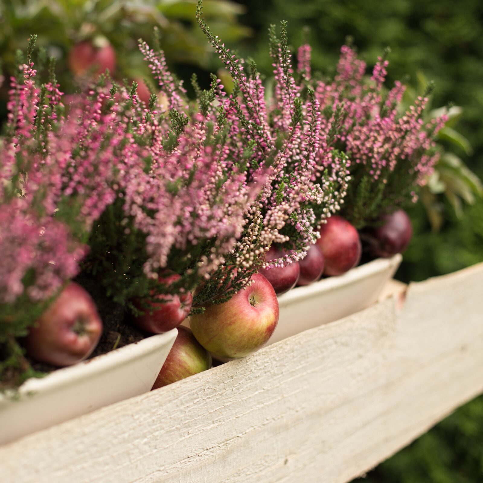 Canon EOS 6D + Canon EF 50mm F1.4 USM sample photo. Apple, red, fruit photography