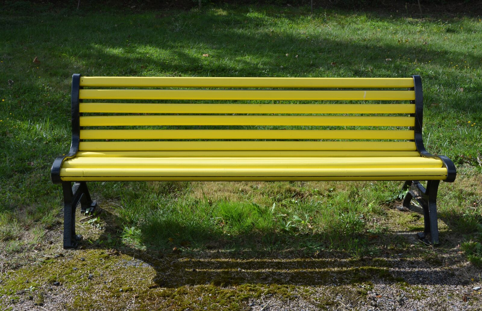 Nikon D5200 sample photo. Bench, public bench, wood photography