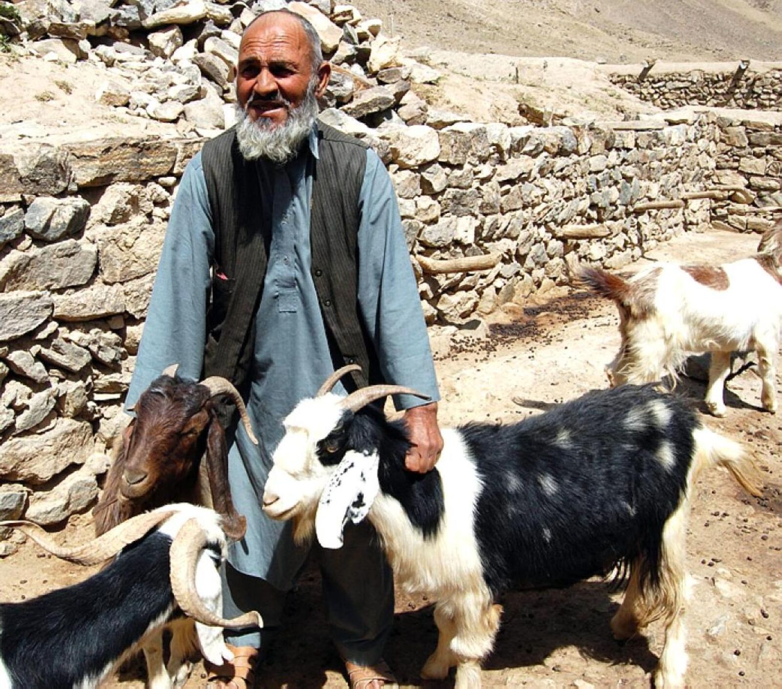 Nikon D40 sample photo. Herdsman, badakhshan, northern afghanistan photography