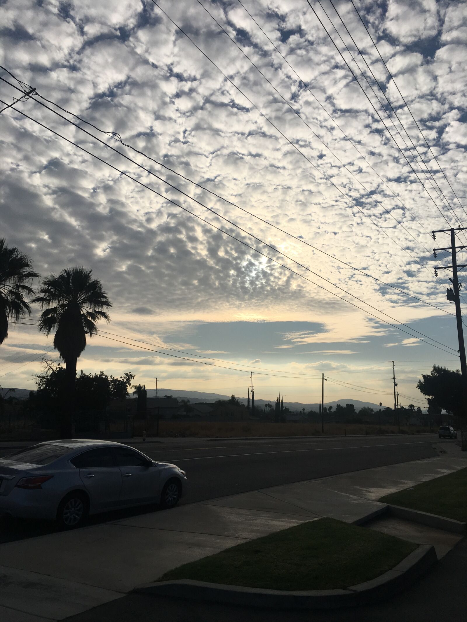 iPhone 6s Plus back camera 4.15mm f/2.2 sample photo