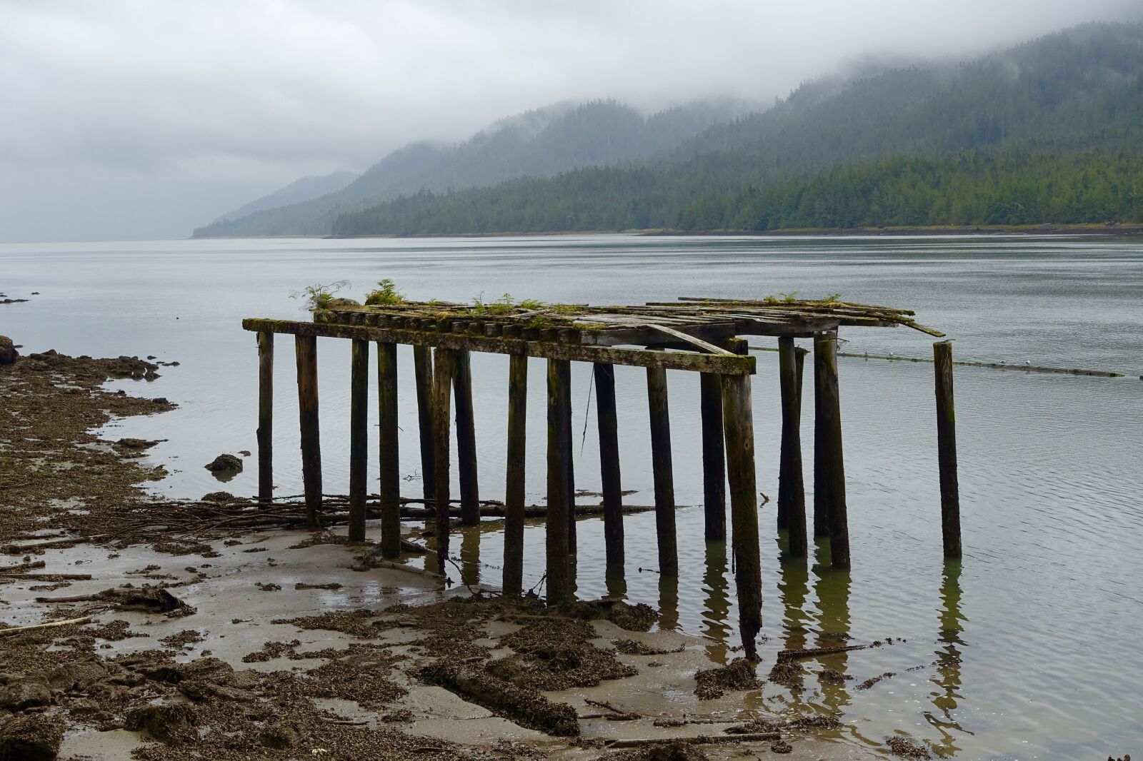 Sony Cyber-shot DSC-RX100 III sample photo. Pier, ramshackle, old photography