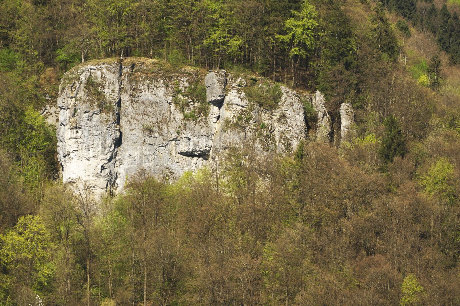 Panasonic Lumix DMC-FZ1000 sample photo. Rock, trees, landscape photography