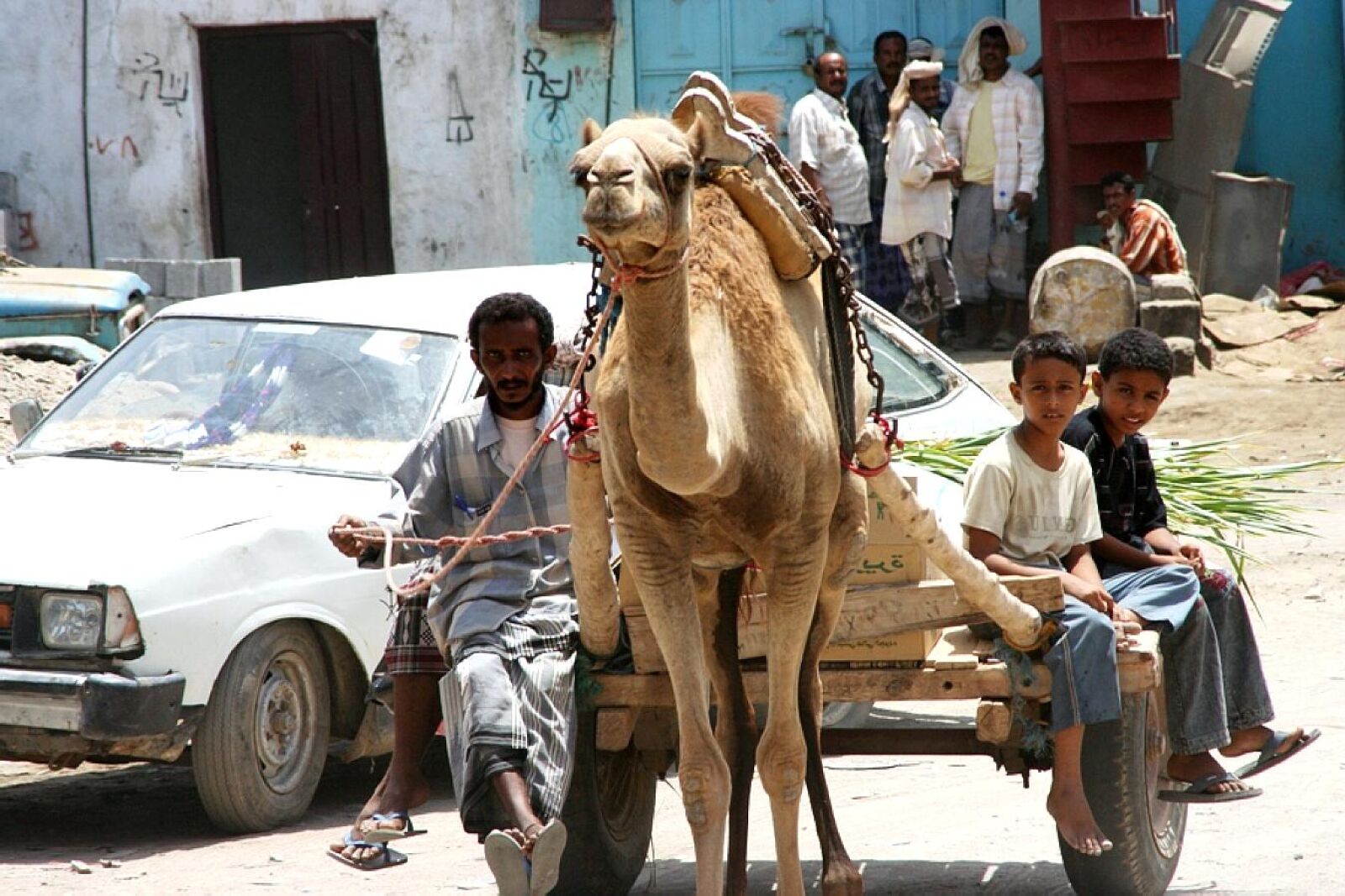 Canon EOS 350D (EOS Digital Rebel XT / EOS Kiss Digital N) sample photo. Camel, cart, delivering, materials photography