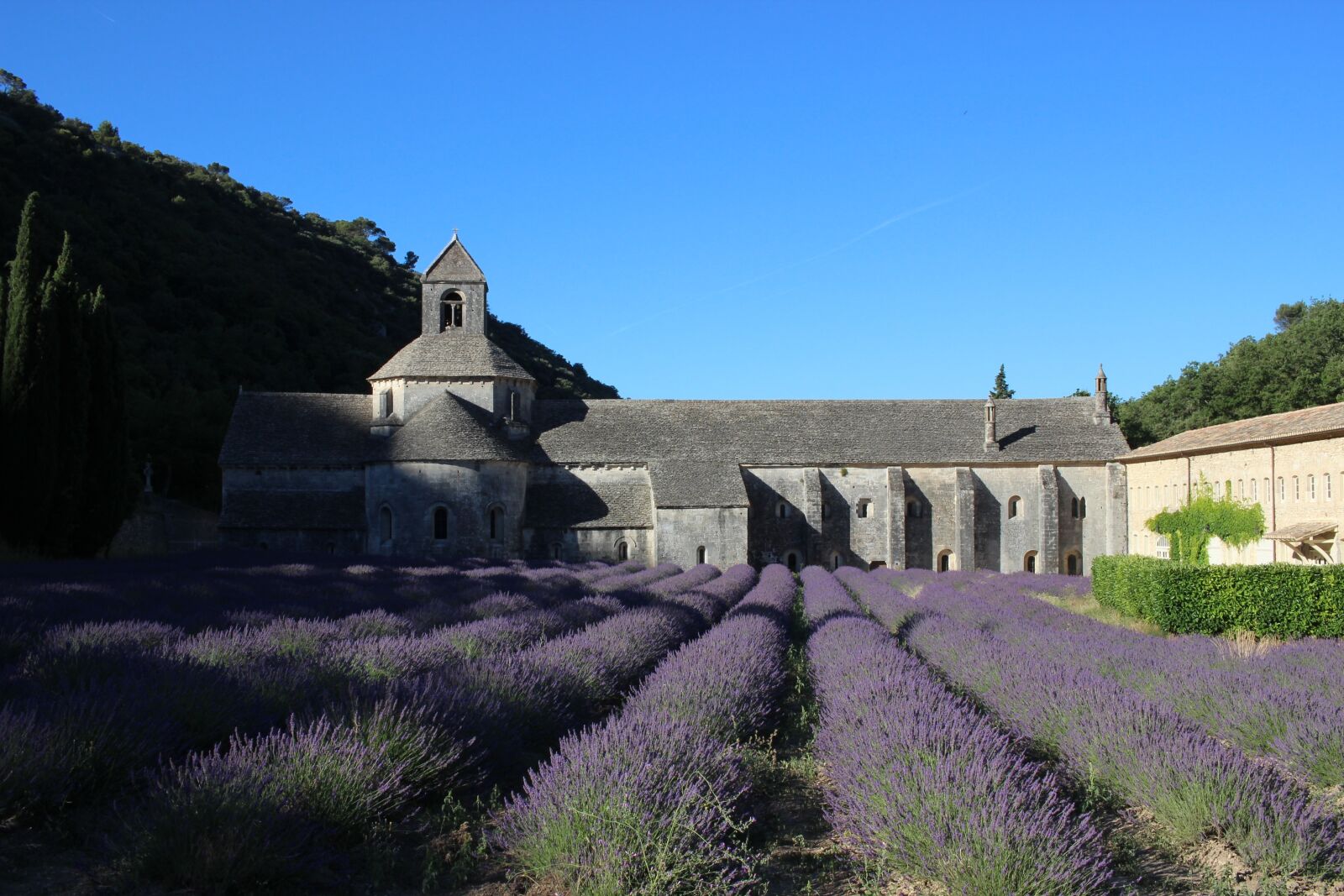 Canon EOS 600D (Rebel EOS T3i / EOS Kiss X5) + Canon EF-S 24mm F2.8 STM sample photo. France, provence, monastery photography
