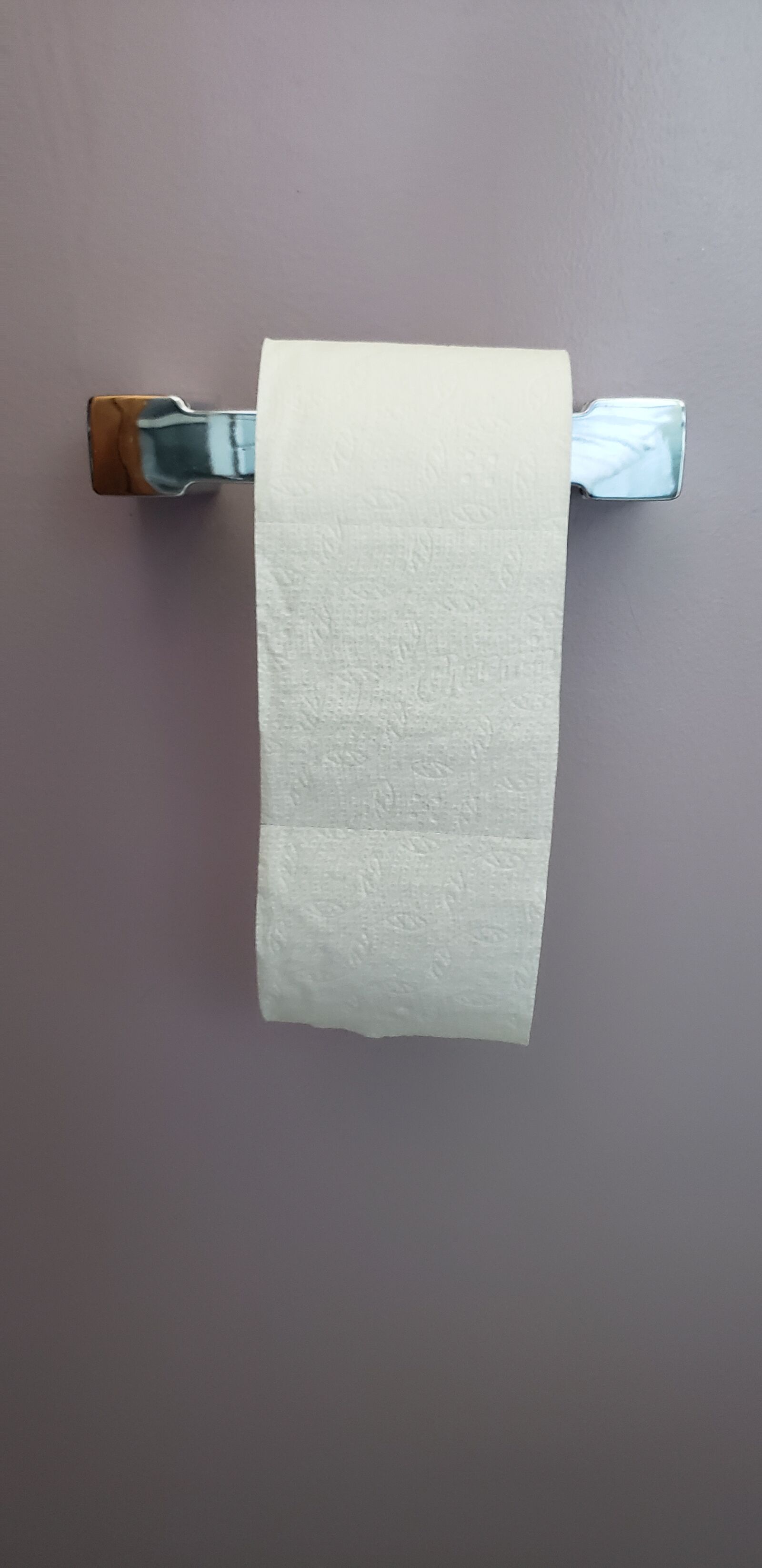 Samsung Galaxy S9+ sample photo. Toilet paper, roll, toilet photography