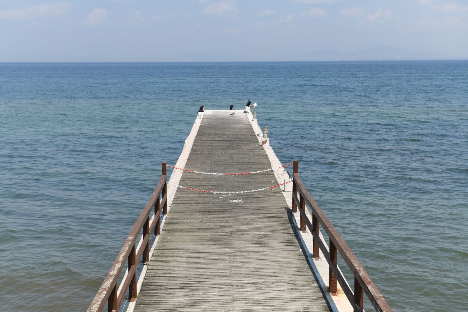 Nikon D850 sample photo. Lake, bridge, blue photography