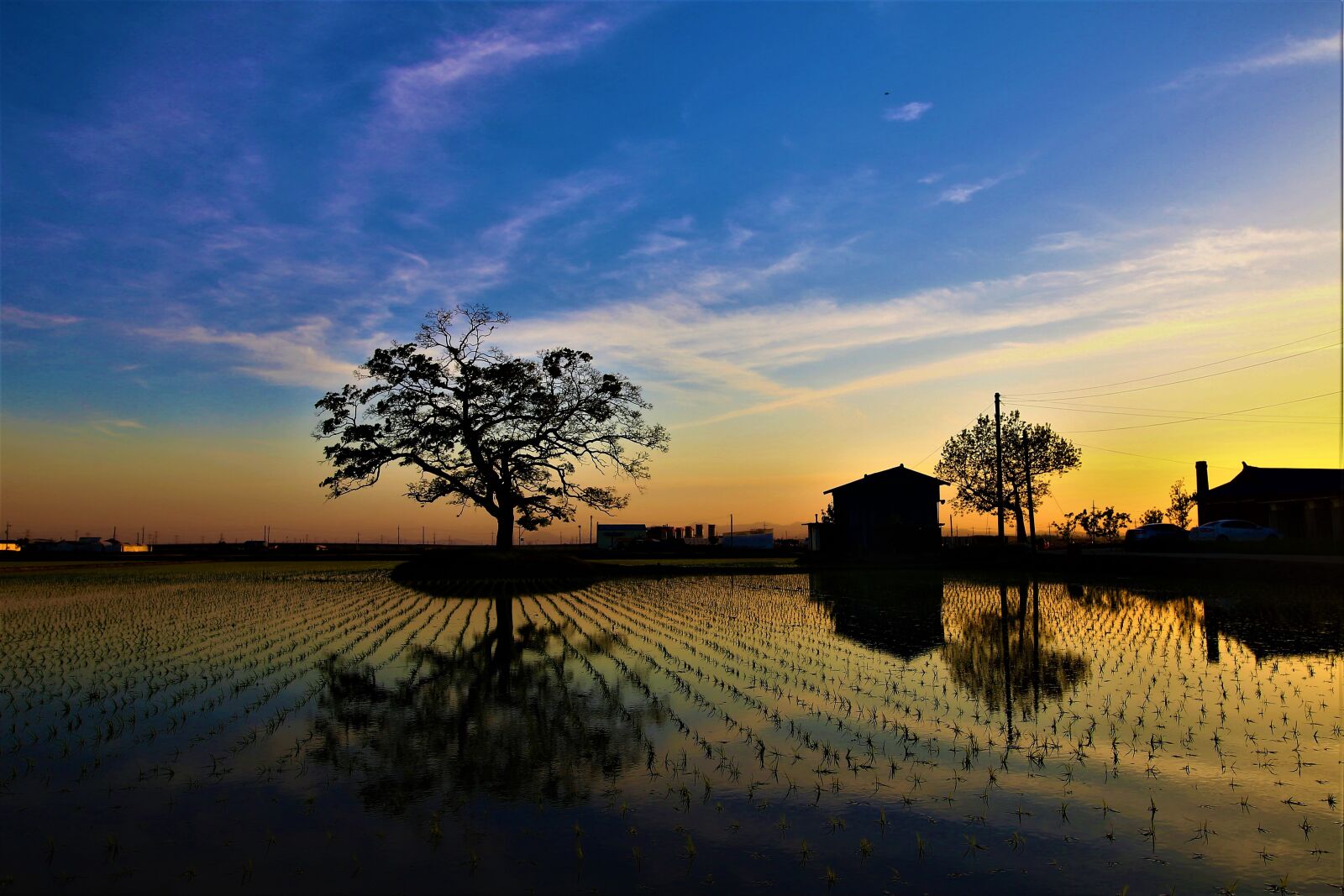 Canon EOS 6D sample photo. Rural, sunset, wood photography