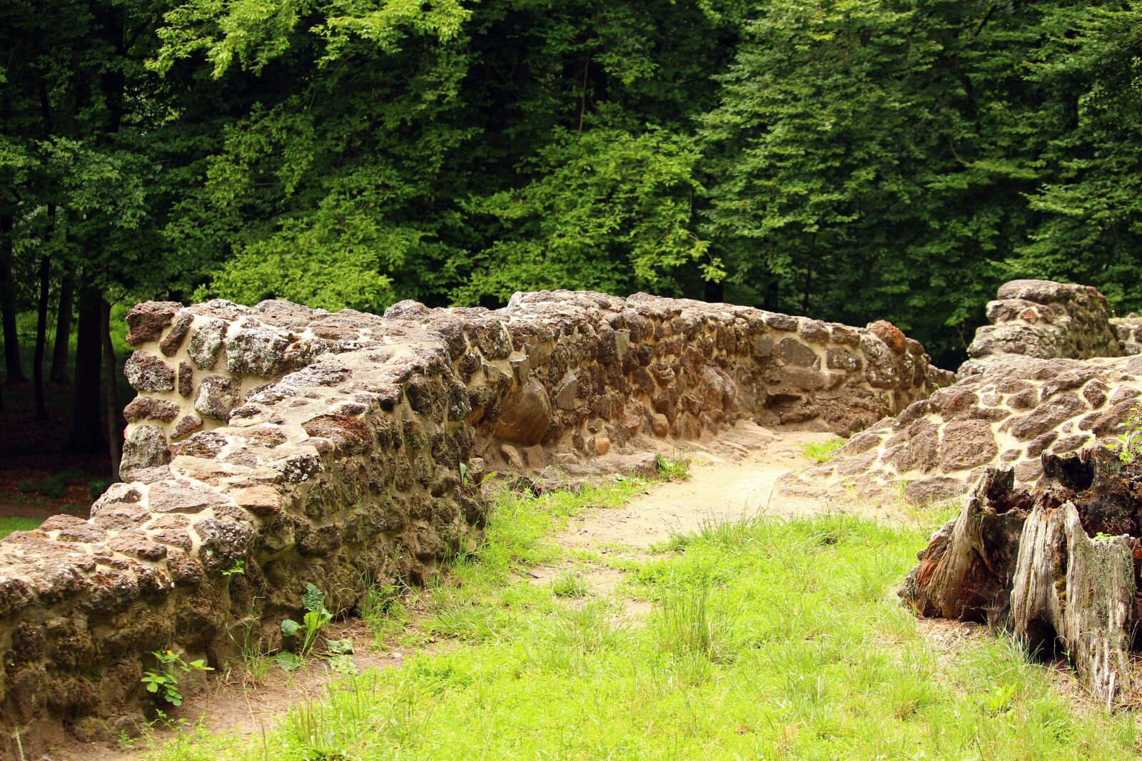 Canon EOS 100D (EOS Rebel SL1 / EOS Kiss X7) sample photo. Ruin, wall, rasenerz photography
