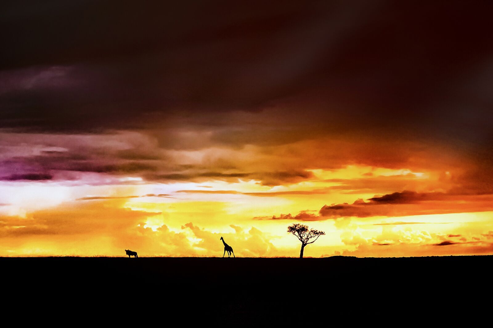 Nikon D3S sample photo. Sunset, safari, africa photography