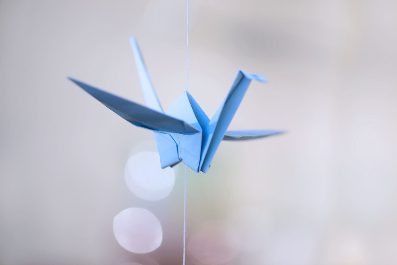 Nikon D800 sample photo. Crane, origami, fold photography