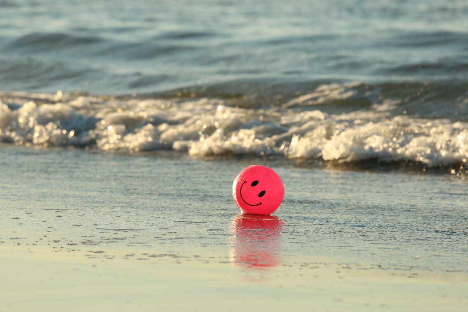 Canon EF 70-200mm F4L IS USM sample photo. Ball, beach, happy, ocean photography