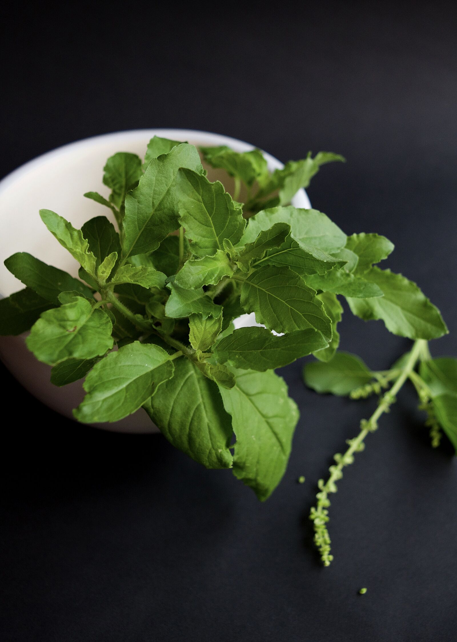 Nikon D3300 sample photo. Thai, holy basil, herb photography