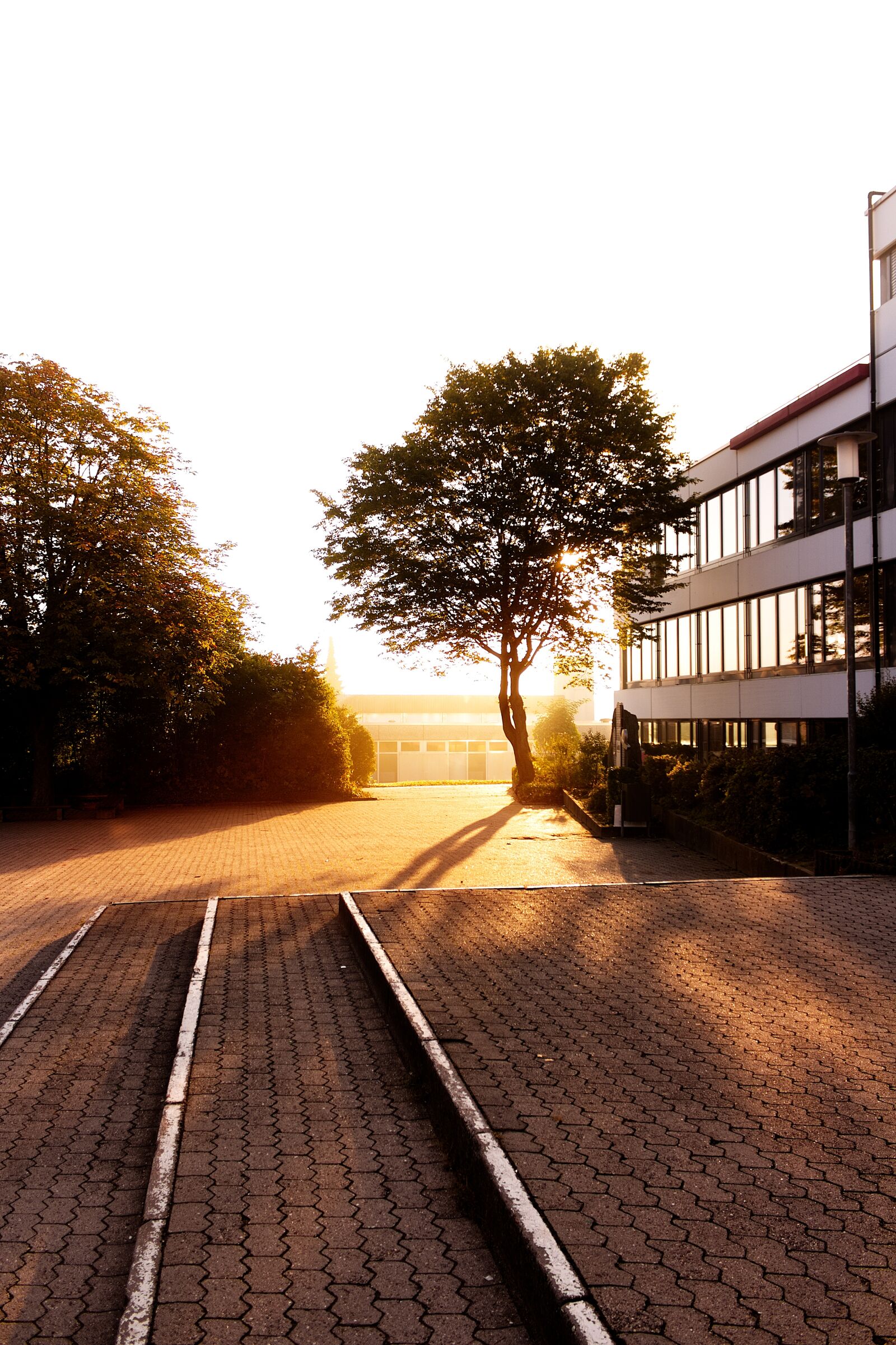 Canon EOS 1300D (EOS Rebel T6 / EOS Kiss X80) sample photo. Sunrise, school, schoolyard photography