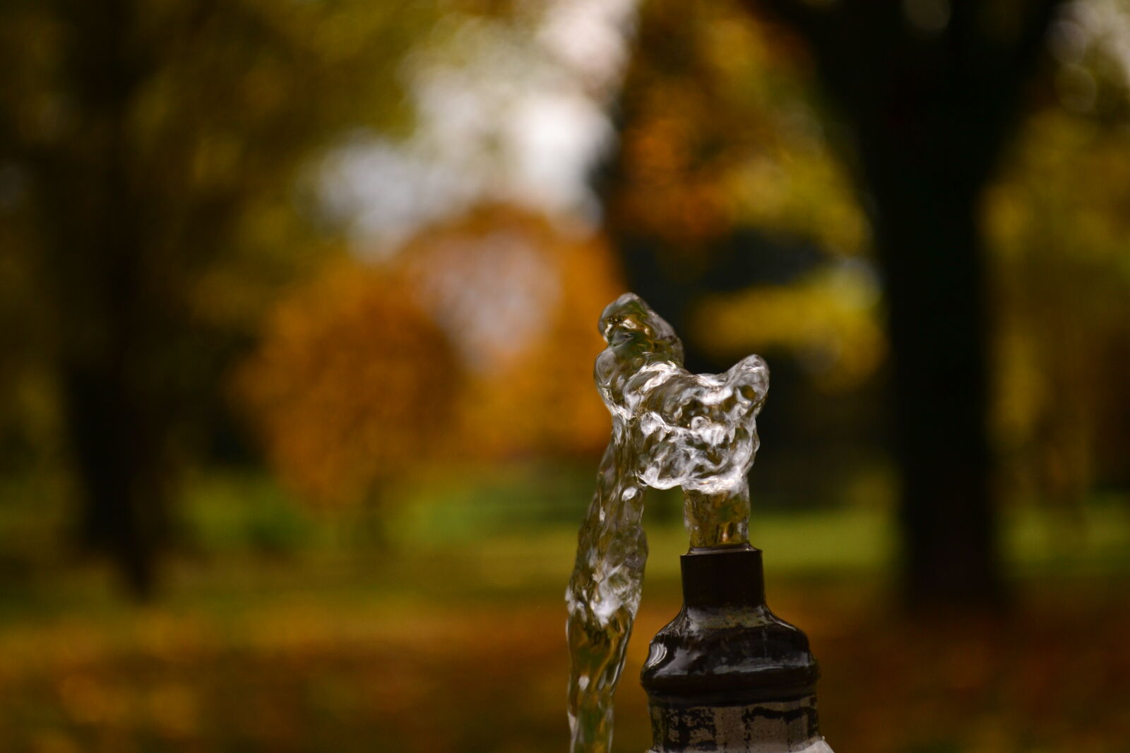 Nikon D3100 sample photo. Nature, water photography