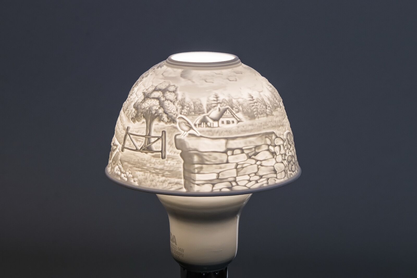 Canon EOS 70D sample photo. Lamp, bulb, light photography