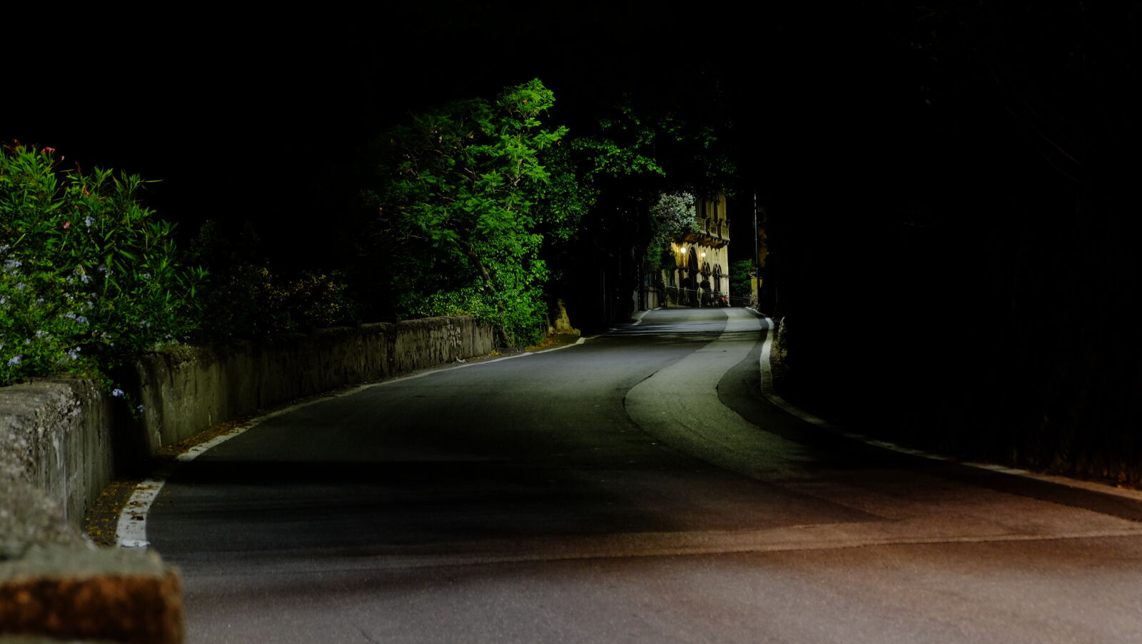 Fujifilm X-M1 sample photo. Mystic, night, road photography
