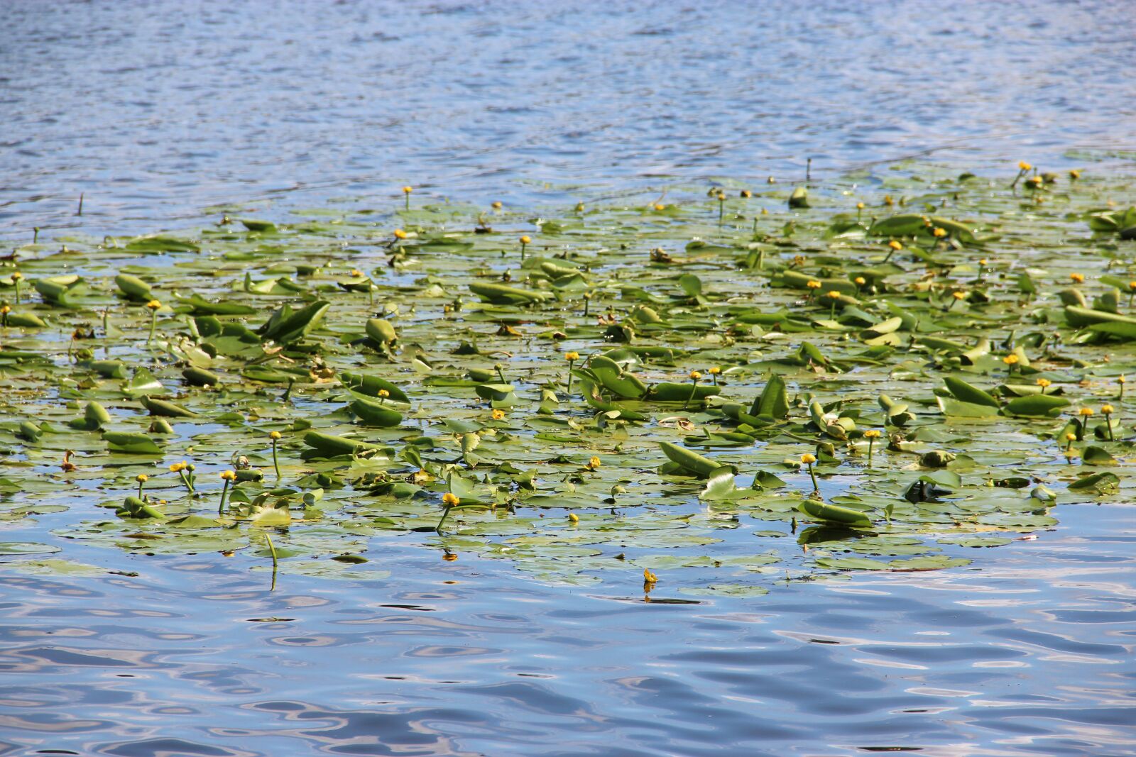 Canon EF-S 18-135mm F3.5-5.6 IS sample photo. Lagoon, lake, water photography
