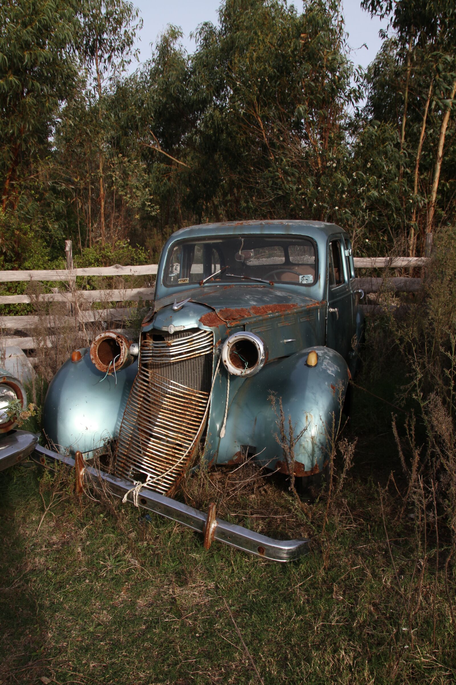 Canon EOS 7D sample photo. Car, old, abandon photography
