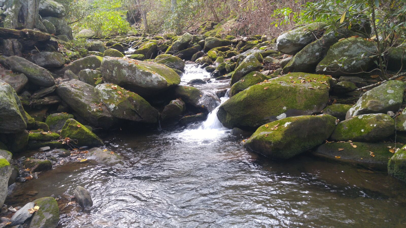 LG G4 sample photo. Mountain, stream, nature, park photography