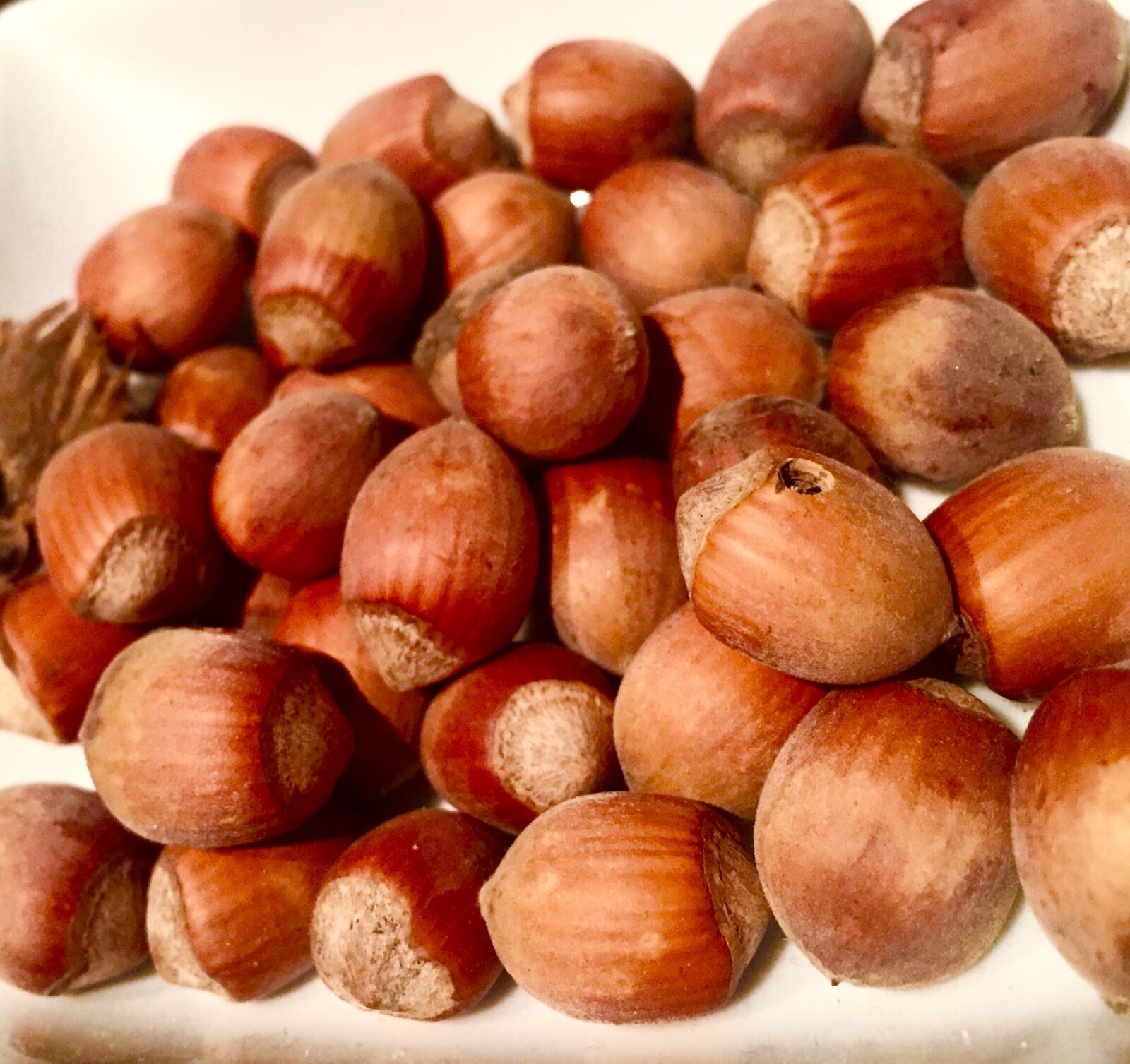 Apple iPhone 6 sample photo