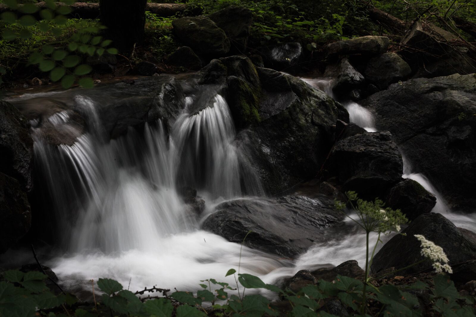 Canon EOS 5D sample photo. Forest, valley, geomdan mountain photography