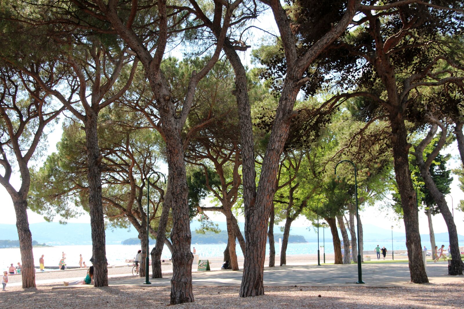 Canon EOS 600D (Rebel EOS T3i / EOS Kiss X5) sample photo. Forest, sea, water photography