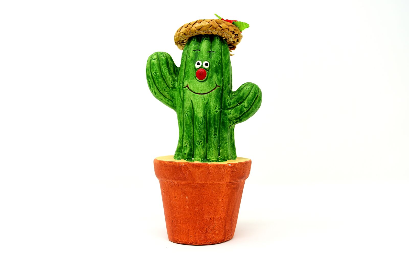 Nikon D7200 sample photo. Figure, plant, cactus photography
