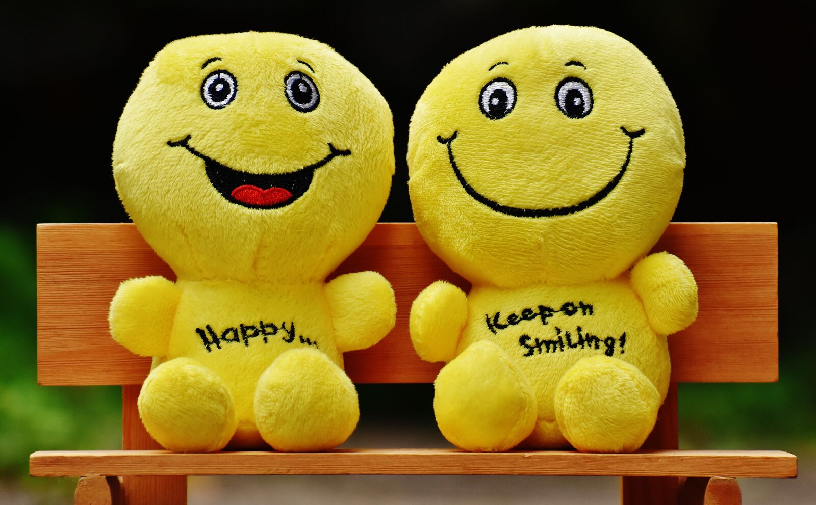 Nikon D7200 sample photo. Smilies, bank, sit photography
