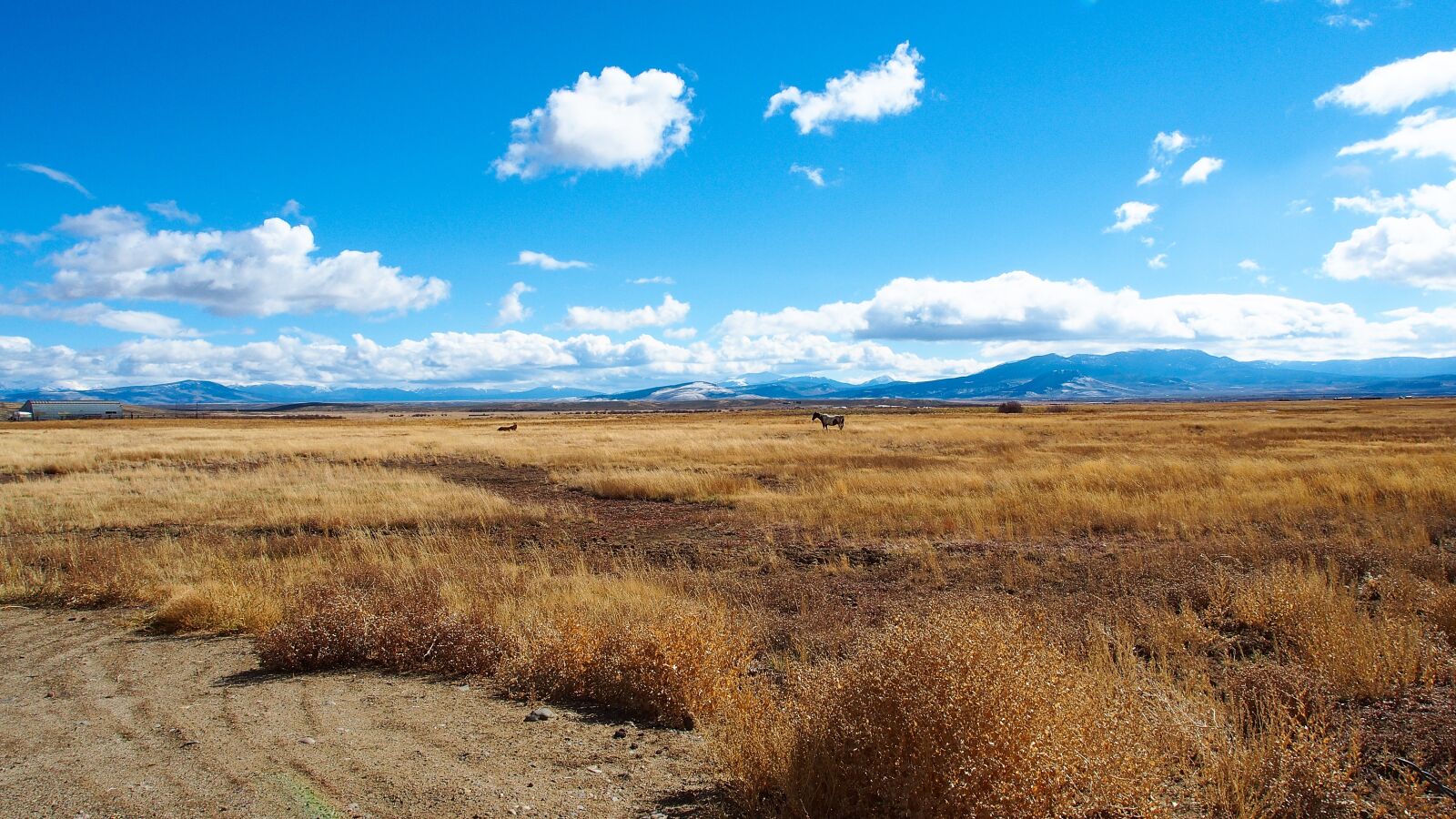 Olympus OM-D E-M5 sample photo. Beautiful landscape of colorado photography