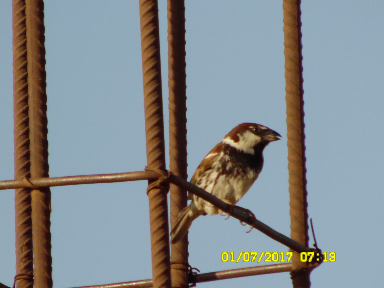 Samsung WB1100F/WB1101F/WB1102F sample photo