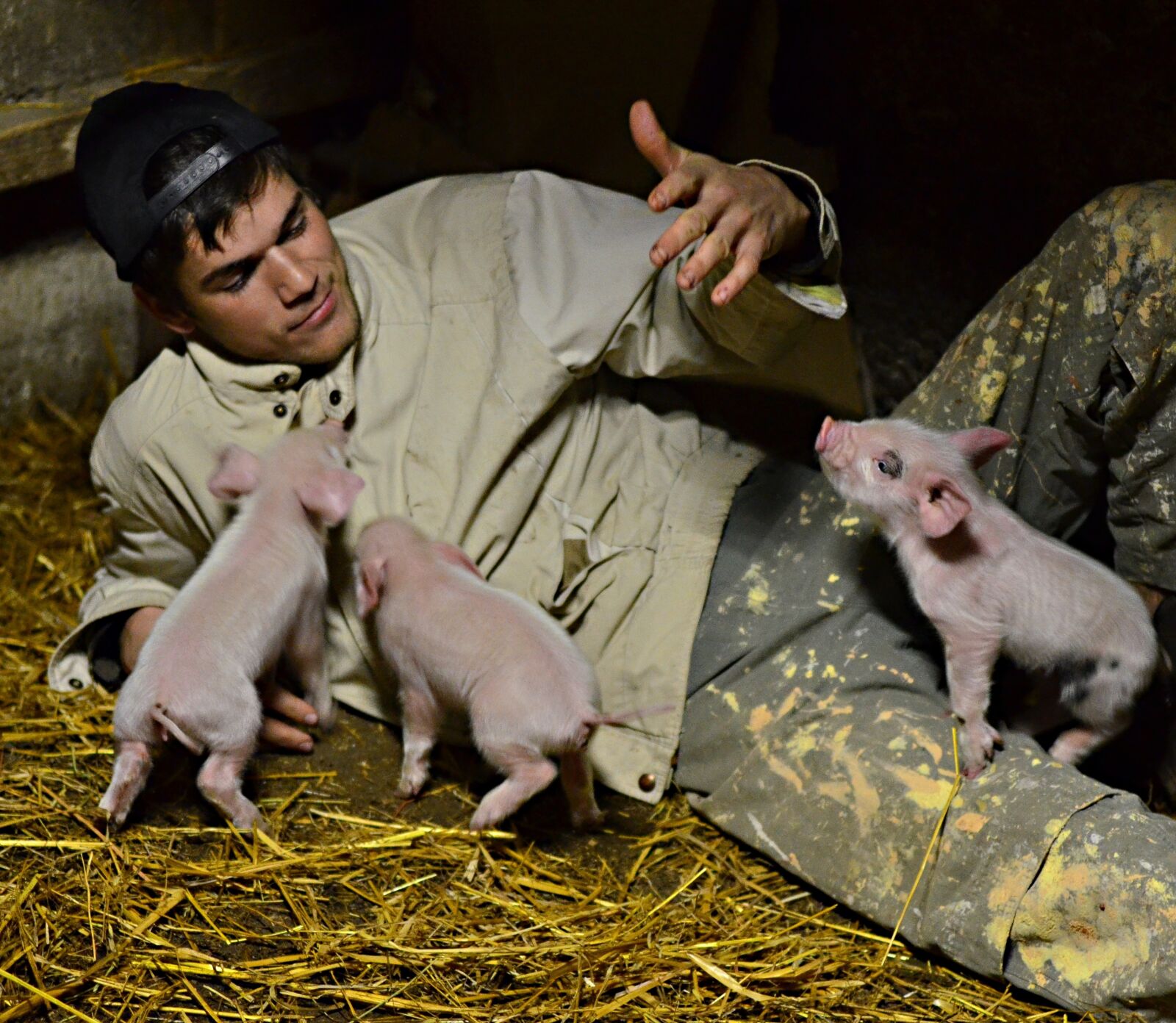Nikon D5100 sample photo. Country life, pig, men's photography